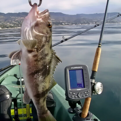 RAM® Fishfinder Mount for Humminbird Devices - Bild 2
